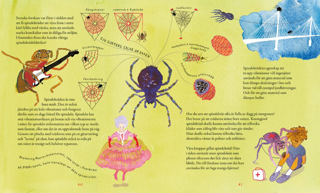 Illustrerat uppslag med spindlar och deras silke. En spindel spelar elgitarr. En annan visar olika typer av silkestrådar som den spinner, till exempel fångstspiral, flykttråd och silkestråd för att paketera mat. Marie Antoinette bär strumpor och handskar av spindelsilke. En brokonstruktion efterliknar spindeltrådens förmåga att dämpa vibrationer. En spindel hjälper ett barn med skrubbsår genom att lägga spindeltråd som ett plåster.