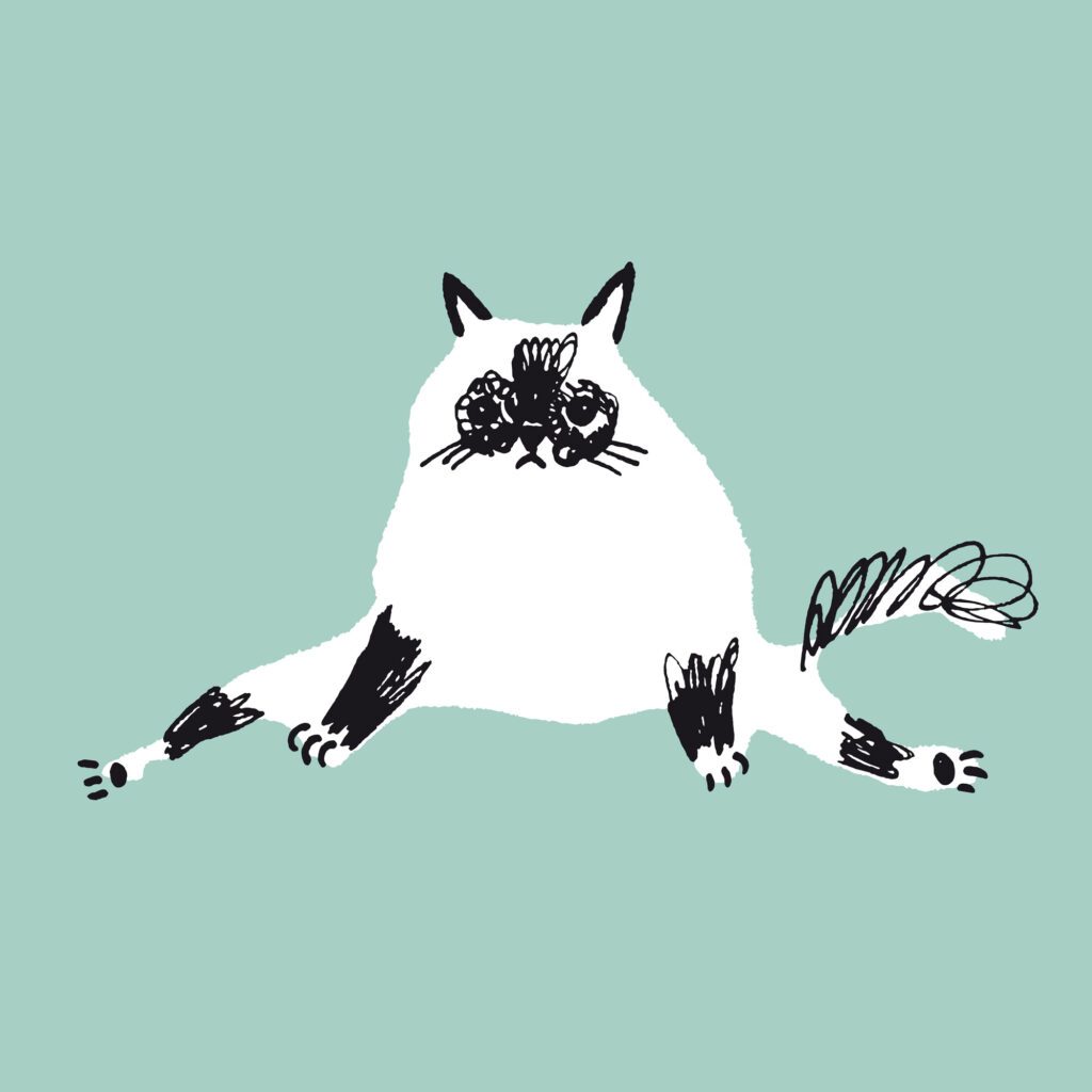 Playful fluffy Persian cat illustration on mint green background
