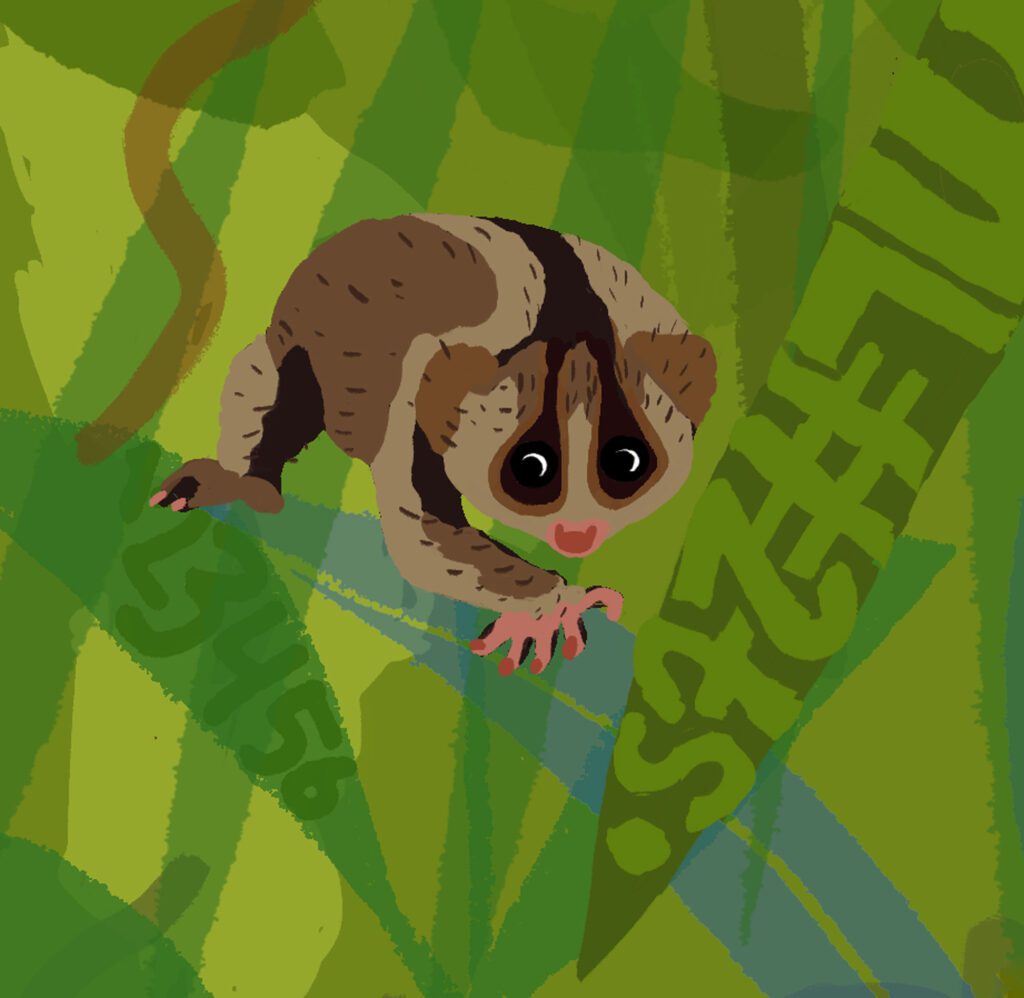 Wide-eyed tarsier sitting on a branch in a dense jungle illustration.