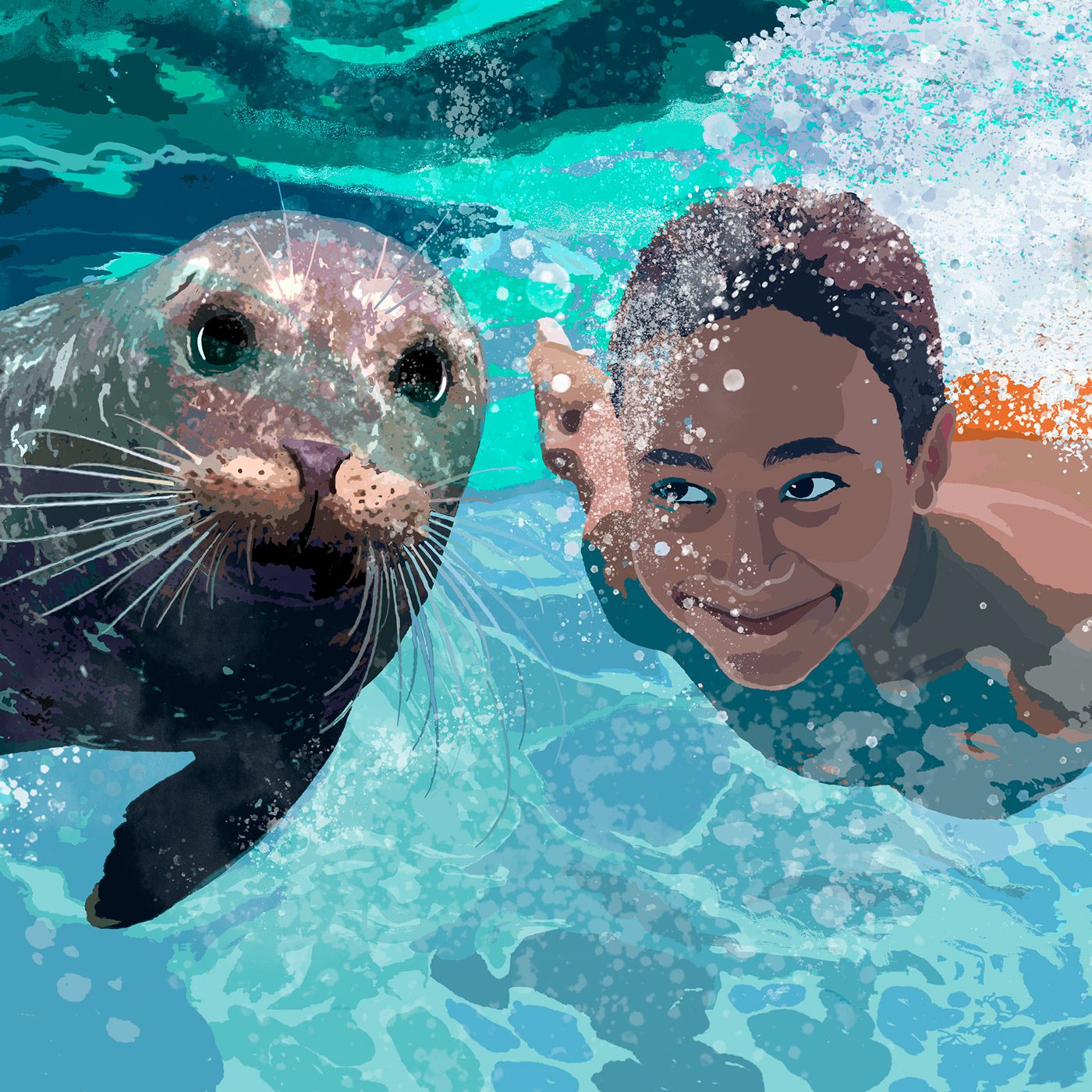 Seal and child swimming together in an illustration for a public pool